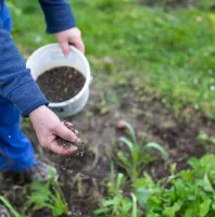 organic fertilizers