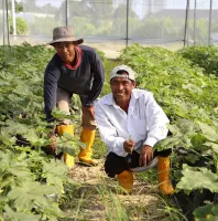 Organic & Sustainable Farming Training