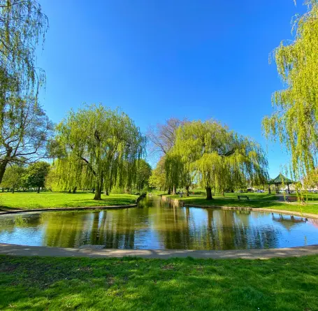 Pond, Forest & Meditation area